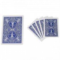 Mini Bicycle Cards