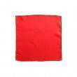 Silk Handkerchief (24 inch)