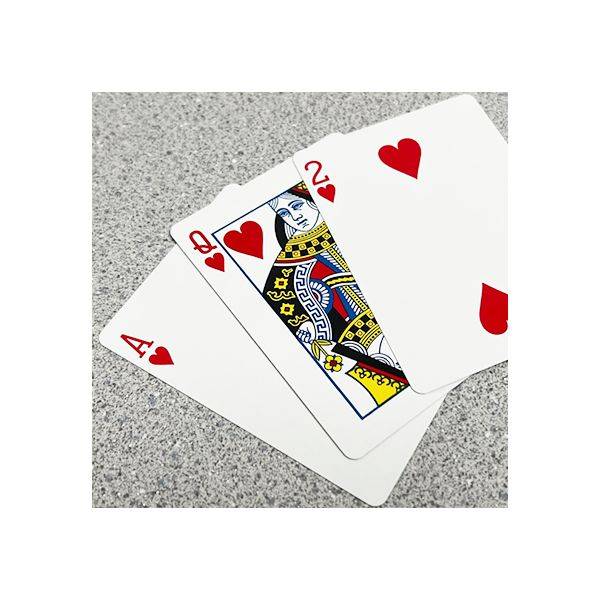 Bicycle 2 Faced Red (Mirror Deck Same on both sides) Playing Card