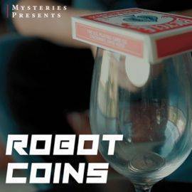 Robot Coin