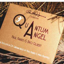 Quantum Angel de Paul Harris